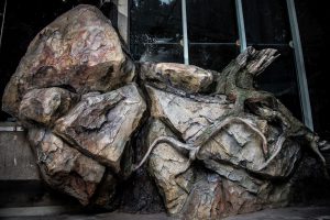 Tree roots and rocks imitation made with shotcrete, Zoo Liberec