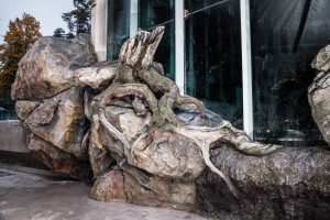 Tree roots and rocks imitation made with shotcrete technique in sea lions enclosure, ZOO Liberec