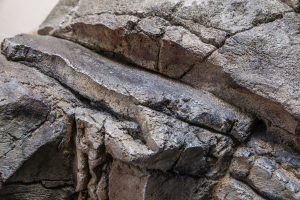 Shotcrete stone imitation detail in ZOO Liberec