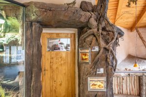 Pohled na vstup do pavilonu Kalahari zdobený imitací stromu a kamenů ze stříkaného betonu v Zoo Olomouc