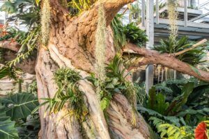 Betonový strom jako dekorace tropického skleníku v zahradnictví