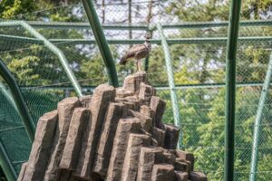Detail umělé skály - imitace čedičových varhan ze stříkaného betonu