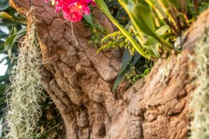 Detail imitace stromu ze stříkaného betonu