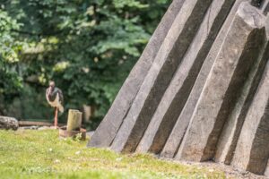 Detail paty umělé skály ze stříkaného betonu - imitace čedičových varhan