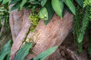 Detail větve umělého stromu z torkretovaného betonu