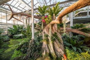 Imitace stromu z torkretovaného betonu ve skleníku zahradnictví Chrudim