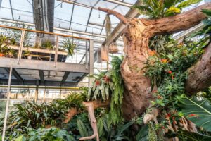 Imitace stromu z torkretovaného betonu ve skleníku zahradnictví