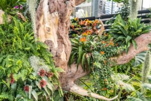 Umělý strom z torkretovaného betonu obrostlý živými rostlinami