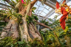 Umělý strom z betonu v Zahradnictví Chrudim