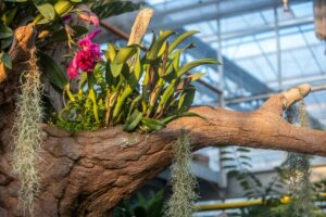 Větev umělého stromu v symbioze s živými rostlinami